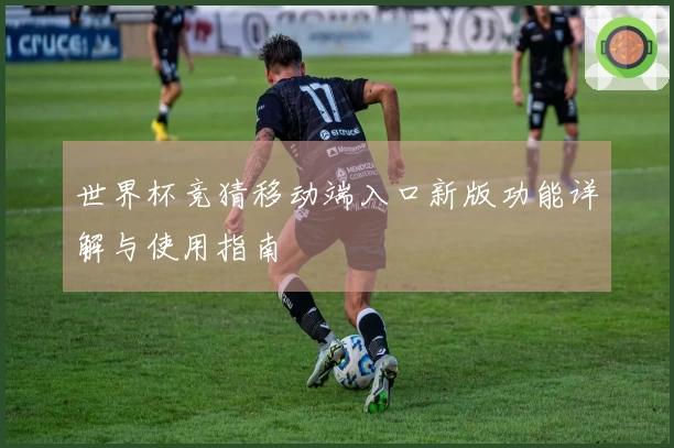 世界杯竞猜移动端入口新版功能详解与使用指南