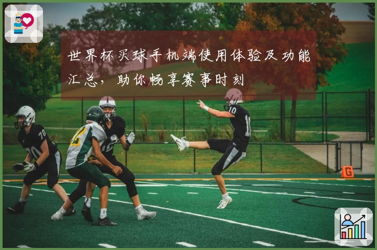 世界杯买球手机端使用体验及功能汇总，助你畅享赛事时刻
