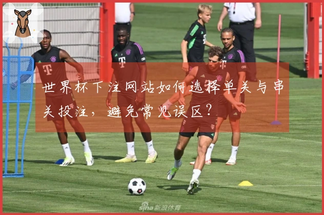 世界杯下注网站如何选择单关与串关投注，避免常见误区？