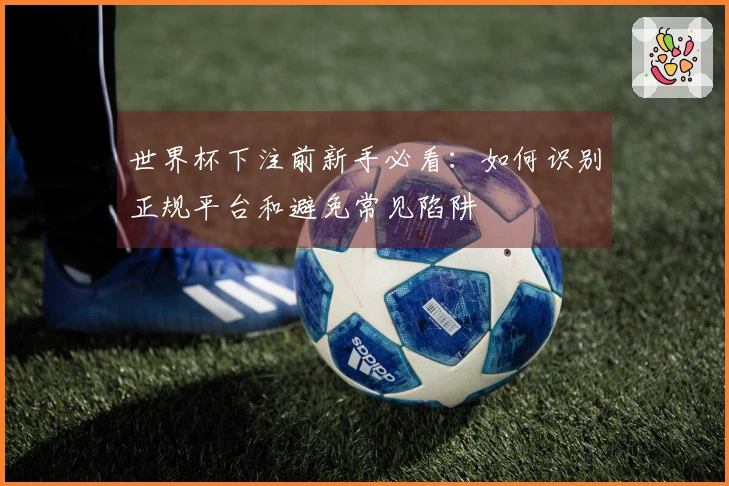 世界杯下注前新手必看：如何识别正规平台和避免常见陷阱