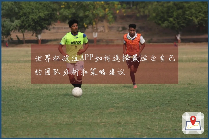 世界杯投注APP如何选择最适合自己的团队分析和策略建议
