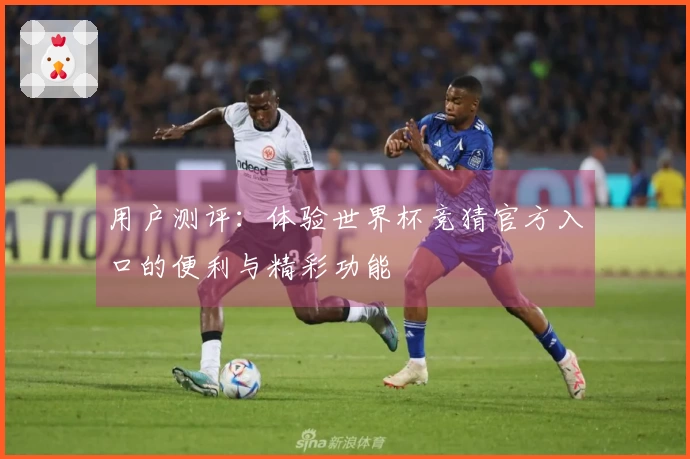 用户测评：体验世界杯竞猜官方入口的便利与精彩功能