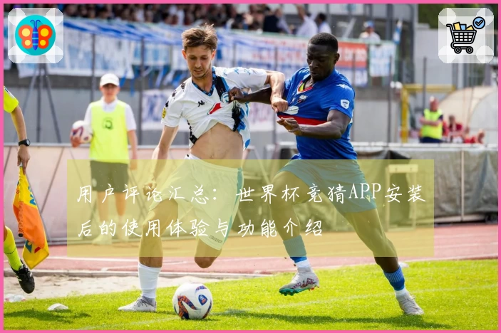 用户评论汇总:世界杯竞猜APP安装后的使用体验与功能介绍