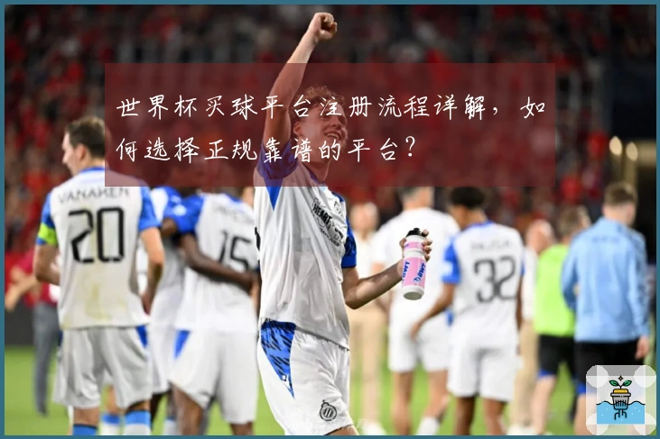 世界杯买球平台注册流程详解，如何选择正规靠谱的平台？