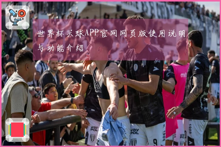 世界杯买球APP官网网页版使用说明与功能介绍