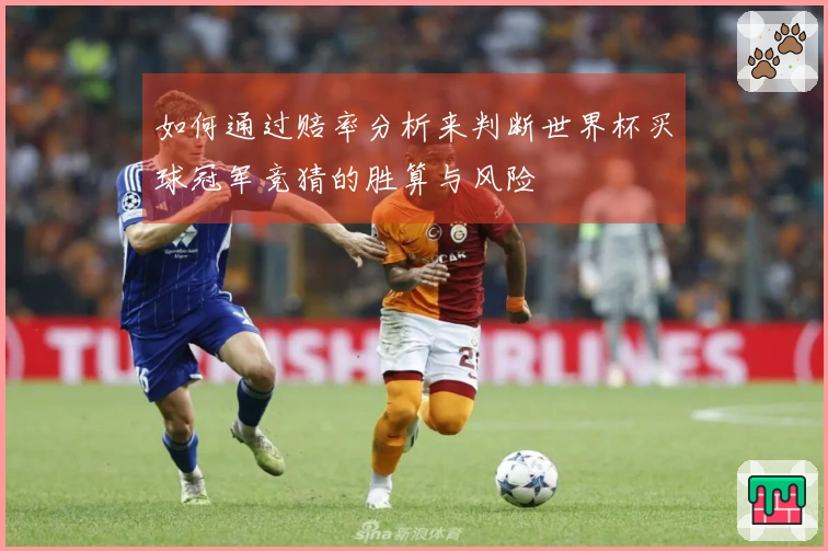 如何通过赔率分析来判断世界杯买球冠军竞猜的胜算与风险