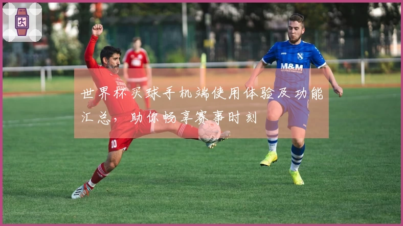 世界杯买球手机端使用体验及功能汇总，助你畅享赛事时刻