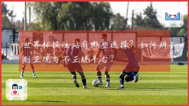 世界杯投注站有哪些选择？如何辨别正规与不正规平台？