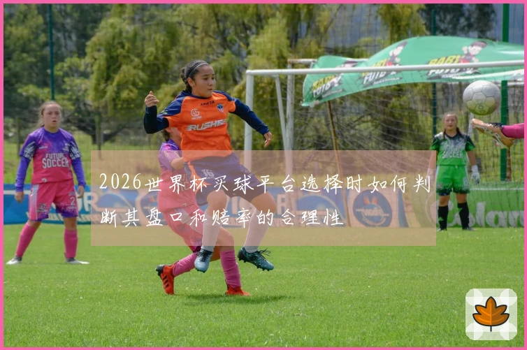 2026世界杯买球平台选择时如何判断其盘口和赔率的合理性
