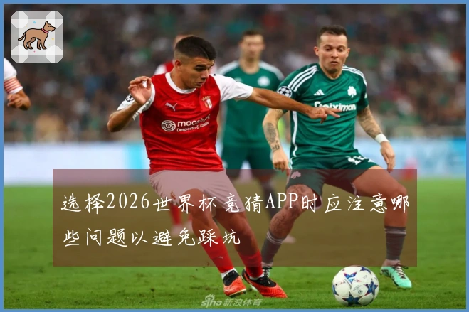 选择2026世界杯竞猜APP时应注意哪些问题以避免踩坑