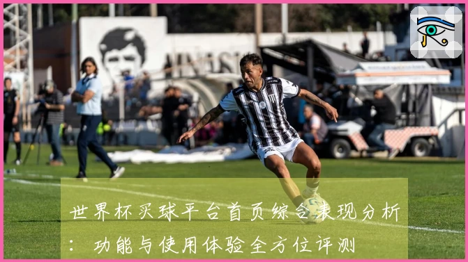 世界杯买球平台首页综合表现分析:功能与使用体验全方位评测