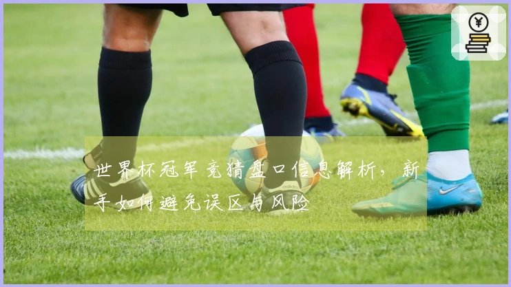 世界杯冠军竞猜盘口信息解析，新手如何避免误区与风险