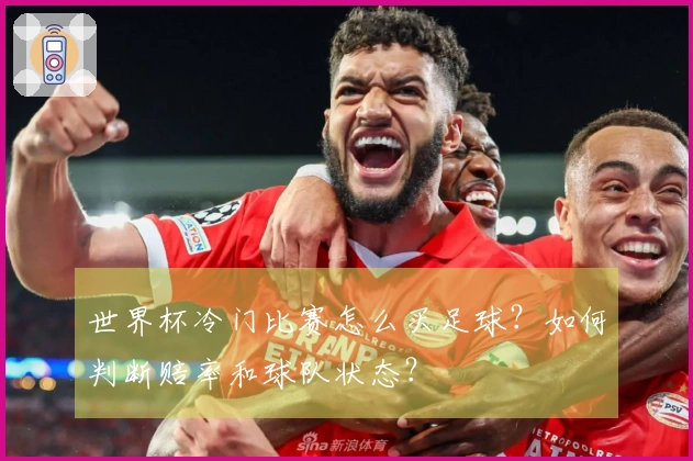 世界杯冷门比赛怎么买足球？如何判断赔率和球队状态？