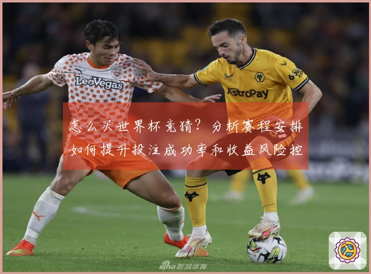 怎么买世界杯竞猜？分析赛程安排如何提升投注成功率和收益风险控制