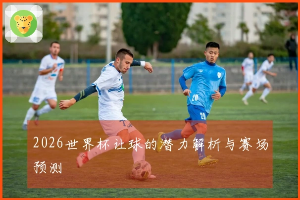 2026世界杯让球的潜力解析与赛场预测